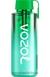 VOZOL smaken - VOZOL NEON 10000 miami munt F62N229