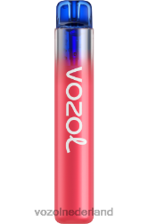 VOZOL Amsterdam - VOZOL NEON 800 bosbessen ijs F62N283