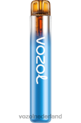 VOZOL nieuwe smaken - VOZOL NEON 800 bosbessenstorm F62N270