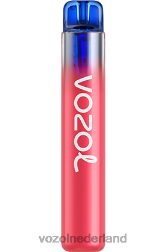 VOZOL vape kopen - VOZOL NEON 800 aardbeienijs F62N256