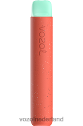 VOZOL review - VOZOL STAR 600 lychee guave watermeloen F62N88