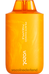 VOZOL Amsterdam - VOZOL STAR 6000/8000 v2 perzik-mango-ananas F62N63