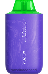 VOZOL smaken - VOZOL STAR 6000/8000 v2 bosbessenstorm F62N59