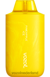 VOZOL vape shop - VOZOL STAR 6000/8000 v2 ananas ijs F62N64