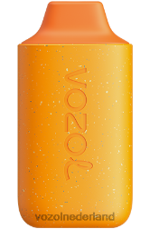 VOZOL vape shop - VOZOL STAR 6000 pompoen latte F62N124