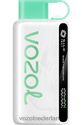 VOZOL vape shop - VOZOL STAR 9000/12000 watermeloen kauwgom F62N34