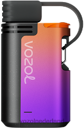 VOZOL vape Nederland - VOZOL GEAR 4000c/6000 druiven ijs F62N325