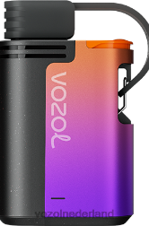 VOZOL vape shop - VOZOL GEAR 4000c/6000 bosbessenstorm F62N324