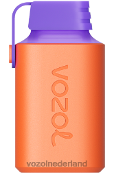 VOZOL Amsterdam - VOZOL GEAR 600 lychee guave watermeloen F62N353