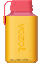 VOZOL kopen - VOZOL GEAR 600 kiwi-passievrucht-guave F62N351