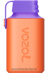 VOZOL nieuwe smaken - VOZOL GEAR 600 bramen ijs F62N360