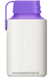 VOZOL nieuwe smaken - VOZOL GEAR 600 energie van bosbessen F62N350