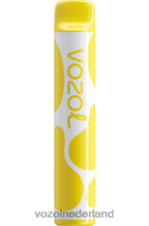 VOZOL Amsterdam - VOZOL JOYGO 600 vanilleroomtabak F62N393