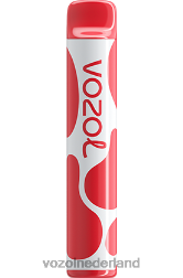 VOZOL Nederland - VOZOL JOYGO 600 aardbeienijs F62N392