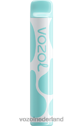 VOZOL kopen - VOZOL JOYGO 600 regenboog snoep F62N391