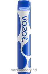 VOZOL nieuwe smaken - VOZOL JOYGO 600 bosbessen storm F62N390