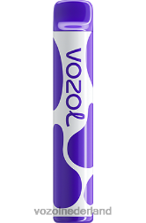 VOZOL review - VOZOL JOYGO 600 gemixte bessen F62N388