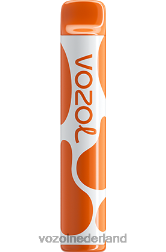 VOZOL smaken - VOZOL JOYGO 600 koffie F62N379