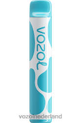 VOZOL vape store - VOZOL JOYGO 600 bosbes zure framboos F62N377