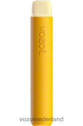 VOZOL vape kopen - VOZOL STAR 600 citroen-passievrucht F62N86