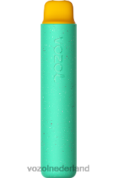 VOZOL vape Nederland - VOZOL STAR 2000 gummybeer F62N155