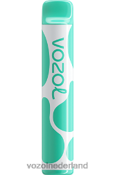 VOZOL vape store - VOZOL JOYGO 600 menthol F62N387