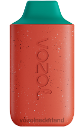 VOZOL vape store - VOZOL STAR 6000 lychee guave watermeloen F62N117